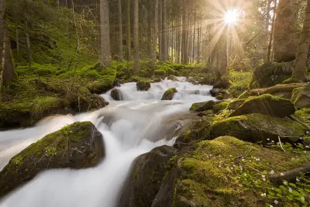 mountain stream