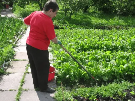 man working with plants