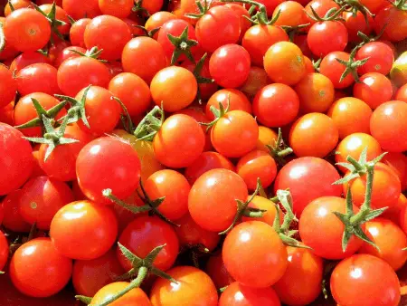 Cherry tomatoes 