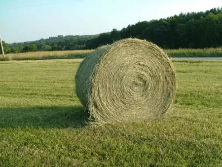 hay bale