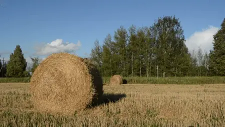 straw bale