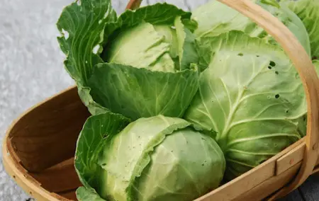 Cabbages in a basket