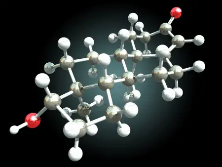 model of a molecule