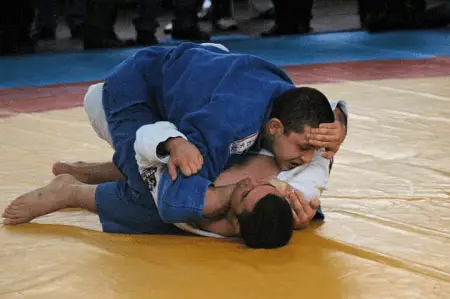 Brazilian Jiu-Jitsu wrestlers