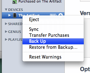 backup feature in iTunes