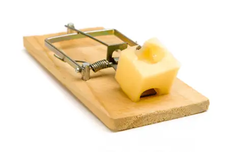 mouse trap