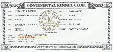 CKC certificate