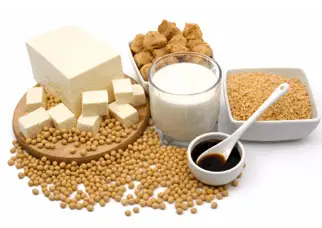 Foods rich in soy protein