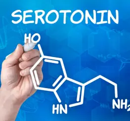 Difference between Serotonin and Dopamine