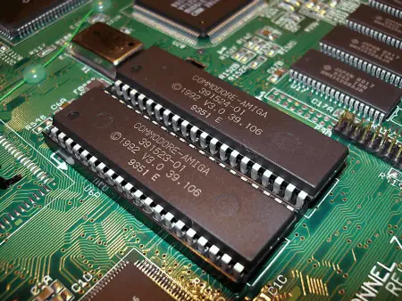 ROM (Read Only Memory) chips