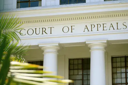 court of appeals