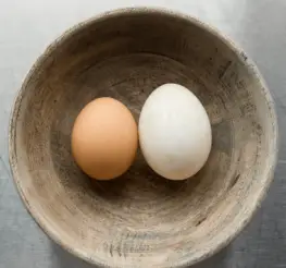 Difference between Duck and Chicken Eggs