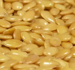 Difference between Golden Flax Seeds and Brown Flax Seeds