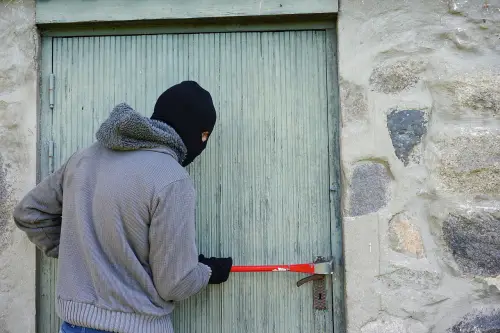 burglar 