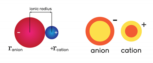 anion and cation