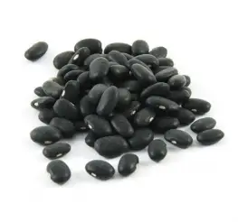 Difference between Black Beans and Pinto Beans