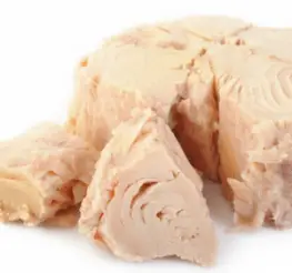 Difference between Albacore and Chunk Light Tuna