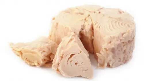 difference between solid white albacore and chunk light