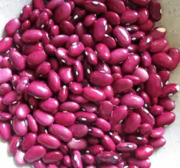 Difference between Red Beans and Kidney Beans