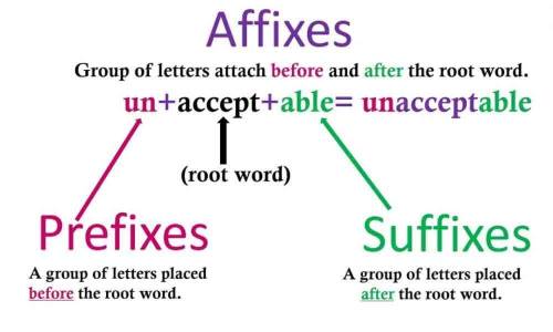 What Is Difference Between Prefix And Suffix And Examples