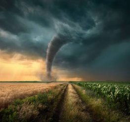 Difference Between Twister and Tornado