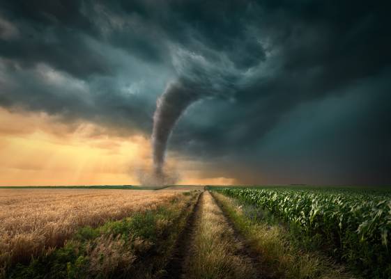 Difference Between Twister and Tornado