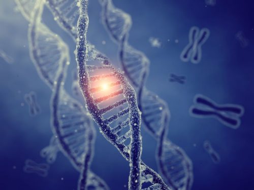 Difference Between Allele and Gene