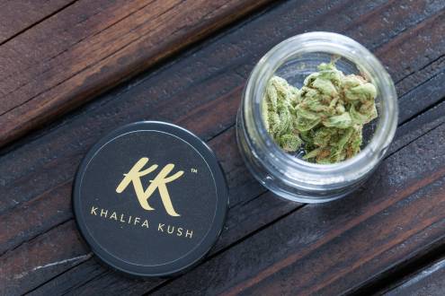 Difference Between Papaya Cake and Khalifa Kush