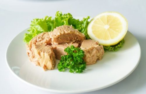 Difference Between Solid White and Chunk Light Tuna