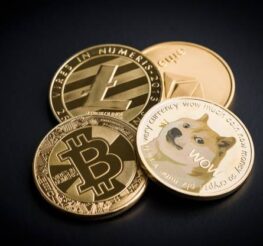 Difference Between Litecoin and Dogecoin