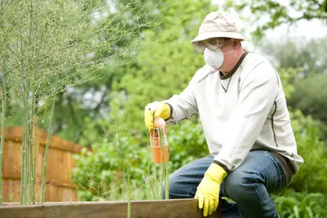 Difference Between Natural And Chemical Pest Methods