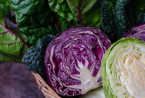 Difference Between Red and Green Cabbage
