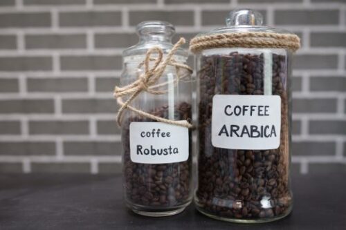 Difference Between Arabica Beans and Robusta Beans