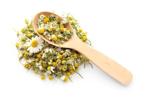 Difference Between Chamomile and Daisies
