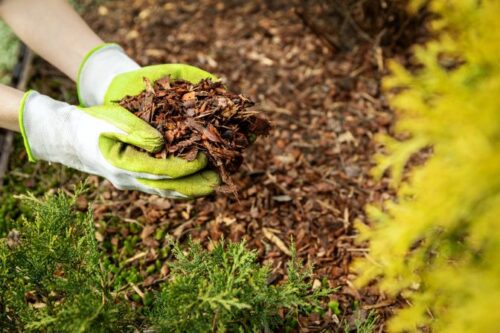 Difference Between Mulch or Soil for Your Pennsylvania Garden