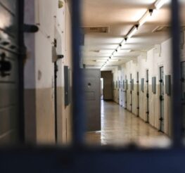 Difference Between Jail And Prison: Everything You Should Know