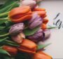 Difference Between Heartfelt Gestures to Show Your Love this Valentine's Day